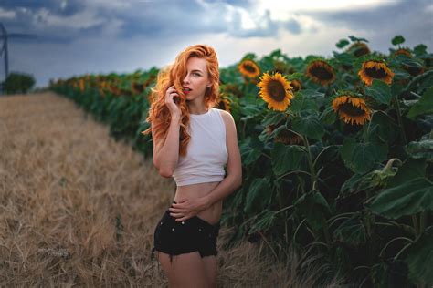 Free Download Hd Wallpaper Field Look Sunflowers Sexy Model