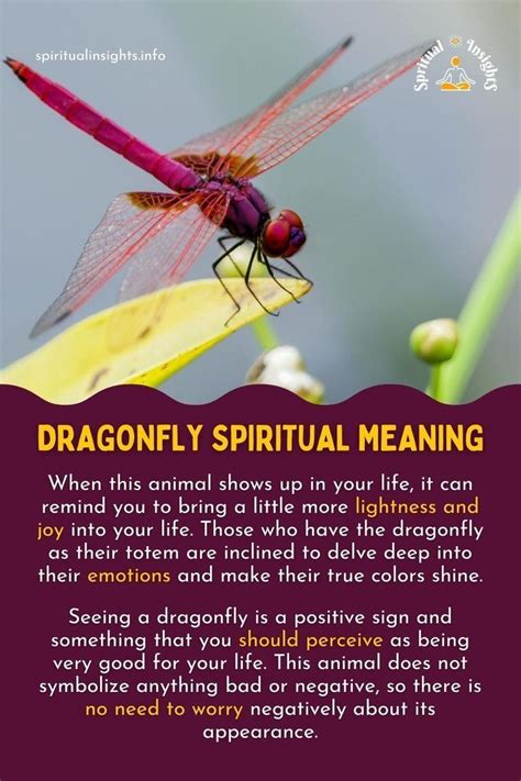 Pin By Stephanie Roy On Master In Spiritual Meaning Meant To Be