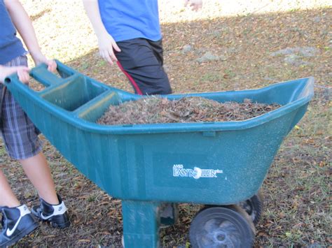 Facts About Lawn Clippings Lawn Clippings In Our Lakes