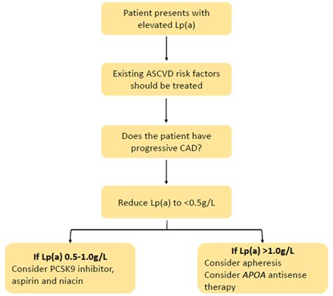 Proposed Algorithm For The Management Of Elevated Lipoprotein A Lp A