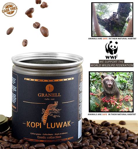 La joya del café se llama Kopi luwak MEDIACOR