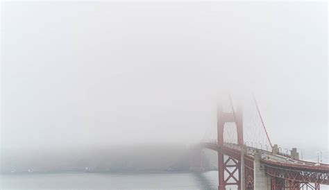 The Great Karl Debate: Here’s Why 70% Of SF Residents Prefer 'Karl The Fog'