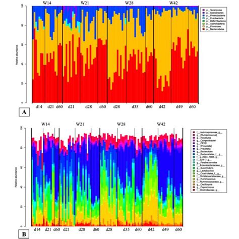 Growth Curves For Piglets Weaned At 14 Days Of Age W14 21 Days Of