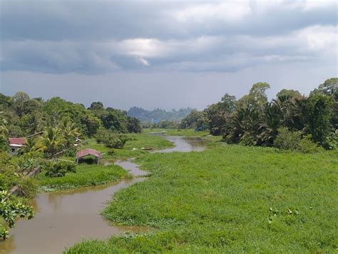 Pengerjaan Normalisasi Sungai Selor Dan Sungai Buaya Sudah 700 Meter