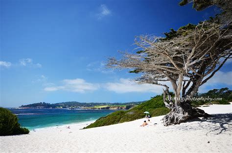 Carmel by the Sea, the beach | Carmel by the sea, Beach, Travel images