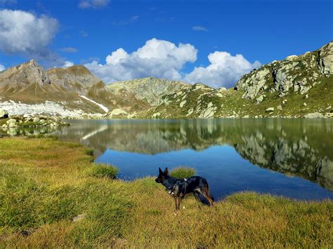 High Mountains Mountain Lake Free Photo On Pixabay Pixabay