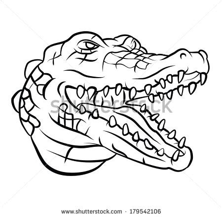 Crocodile Outline Drawing at GetDrawings | Free download