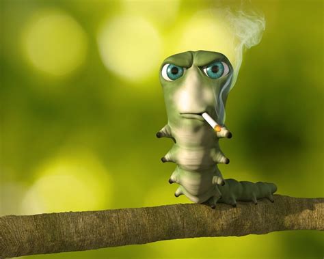 Create Meme Caterpillar With A Cigarette Caterpillar With A Cigarette