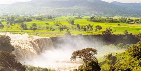 Природа эфиопии