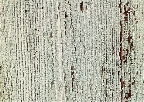 Free Images Tree Branch Structure Board Antique Grain Texture