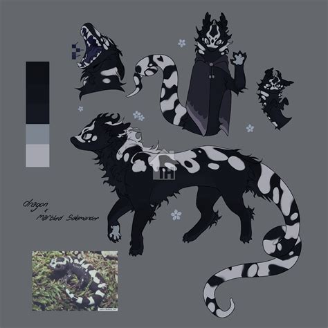 salamander dragon on Toyhouse