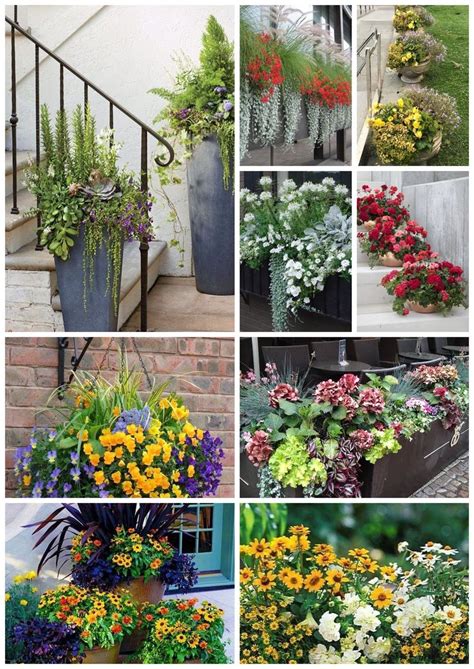 Современное контейнерное озеленение ⠀ | Plants, Garden