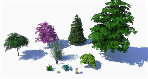 Sketchup Tree Component Render By Momonty13 On Deviantart