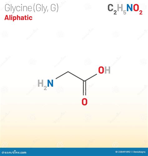 Glycine Gly G Amino Acid Molecule Chemical Formula C H No Stock