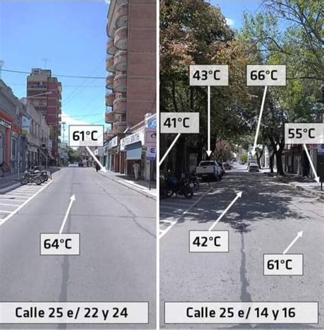 La importancia del arbolado Espacios Verdes comparó la diferencia de