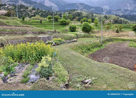 Countryside In Japan Stock Image Image Of Japanese Agriculture 28846525
