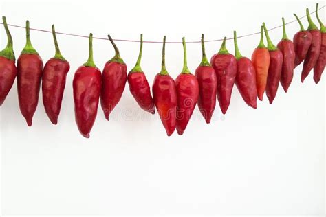 Red Hot Chilli Stock Photo Image Of Spices Jalapenos