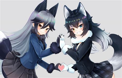 Download Silver Fox Kemono Friends Grey Wolf Kemono Friends Anime