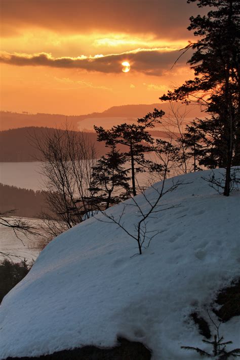 Kostenlose Foto Landschaft Baum Natur Berg Schnee Winter Wolke