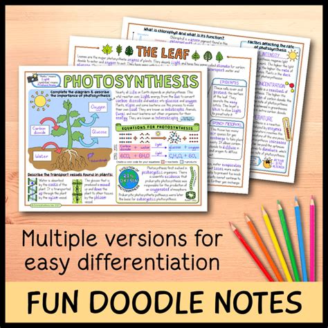 Photosynthesis Lesson Bundle Emmatheteachie