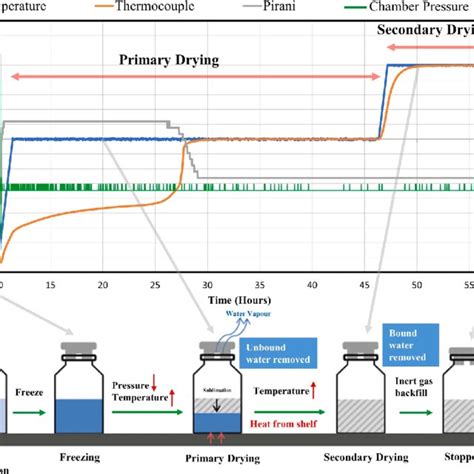 A A Schematic Diagram Of The Spray Freeze Drying Process By Meridion