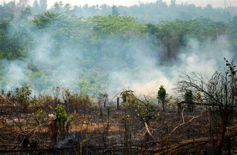 Dampak El Nino Riau Dikepung Titik Api Okezone News