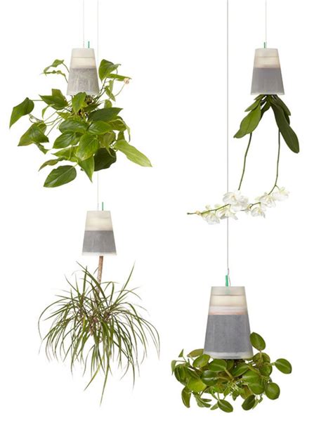 Sublime 50 Awesome Indoor Plants Upside Down Ideas For Your Home