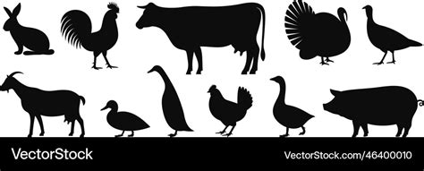 Farm animals Royalty Free Vector Image - VectorStock