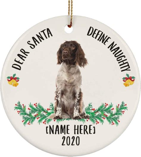 Dog Memorial Christmas Ornamentpet Ornamentpersonalized