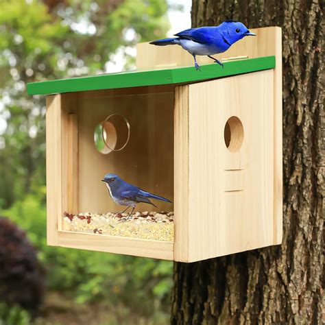 Starswr Bird House Large Bluebird House Feeder Outdoor Mealworms Feeder