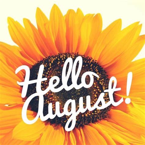 Sunflower Hello August Image Pictures Photos And Images For Facebook