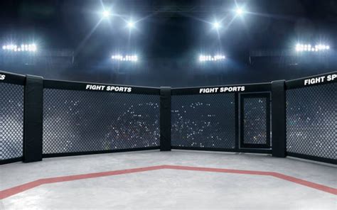 Mma Cage Stock Photos Pictures And Royalty Free Images Istock