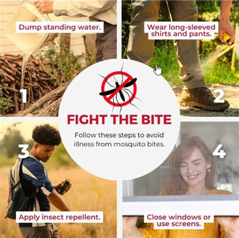 Fight The Bite Prevent Mosquitos And Reduce The Risk Of West Nile Virus