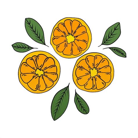 Vector De Fruta Naranja Vector De Imagen Libre Vector Premium