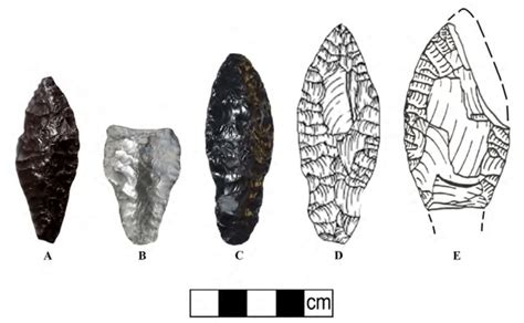 Projectile Points From The Great Basin That Date Or Potentially