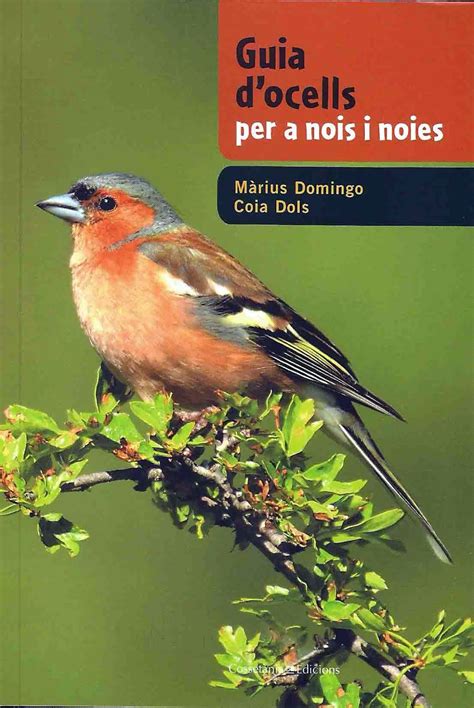 Blog del Màrius Domingo, Ca la Gallineta: Ocells per a nois i noies a ...