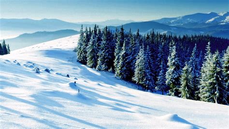 Winter Nature Wallpaper Desktop