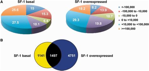 Relationship of SF-1-binding sites to the localization of genes in ... 
