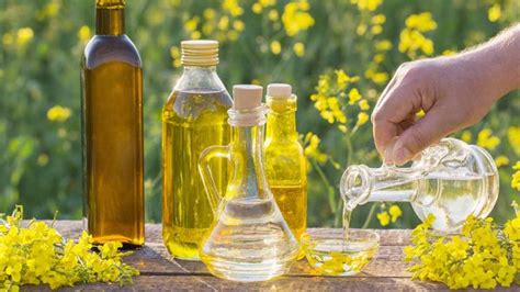 How Is Canola Oil Made Canadian Food Focus