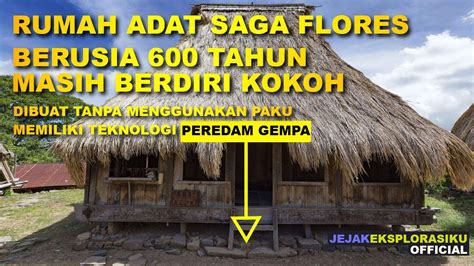 Ende Ntt Rumah Adat Saga Nusa Tenggara Timur Tahun Berdiri Kokoh