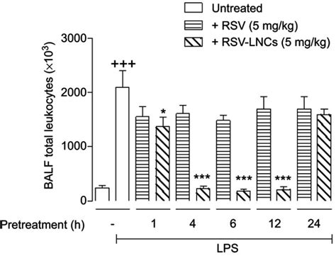 Western Blot Analysis Of Akt A And Erk B Phosphorylation In A J