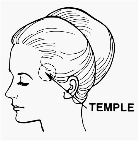 Temple In Human Body Hd Png Download Kindpng