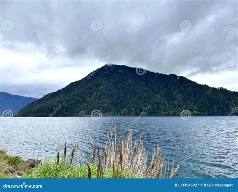 Olympic National Parks Lake Cresent Stock Image Image Of Entry Fell