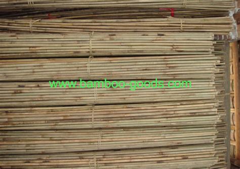 China Natural Thin Bamboo Polesstakescanes Cheap China Bamboo Pole