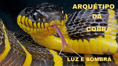 ArquÉtipo Da Cobra Luz E Sombra Youtube