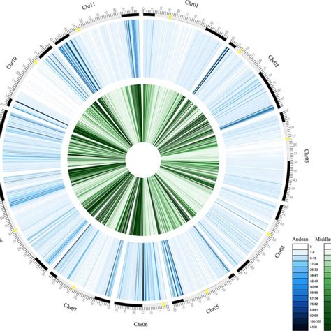 Density Of Exclusive Snps Detected For Each Of The Chromosome Of