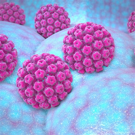 HPV Humane Papillomviren ein Kurzüberblick meduplus E Learning Portal