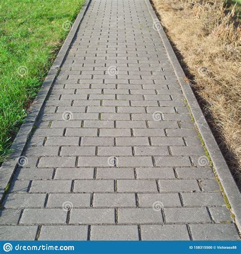 Dead And Green Grass Stock Photo Image Of Cobblestone 158315500
