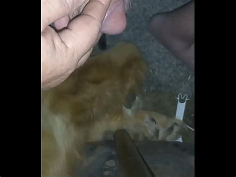 Small Dick XVIDEOS