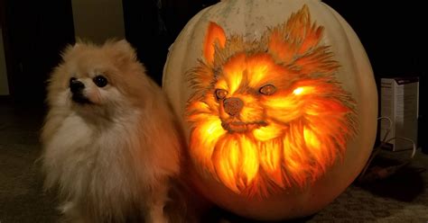 Detailed Pumpkin Carving Transforms It Into A "Dog O' Lantern"